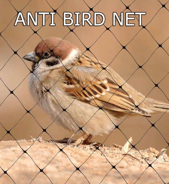 Anti Bird Net